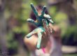 Bloom True Painted Hands